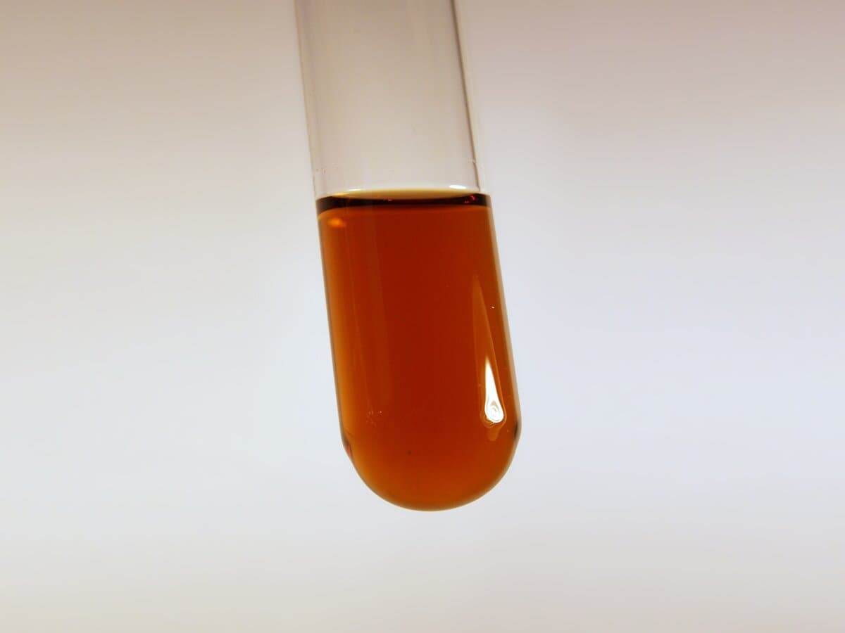 CBD Isolate Unflavored Tincture