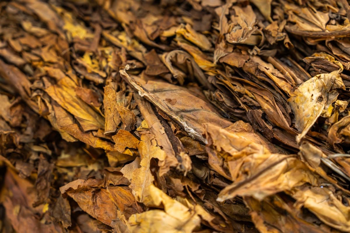 Tobacco Nicotine Pods